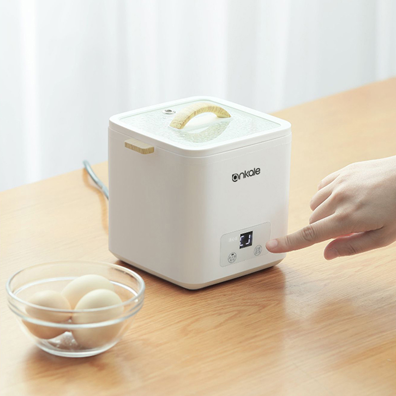 4 Eggs Boiler Steamer Multi Fu - đánh giá và giá Egg Cooker Rapid