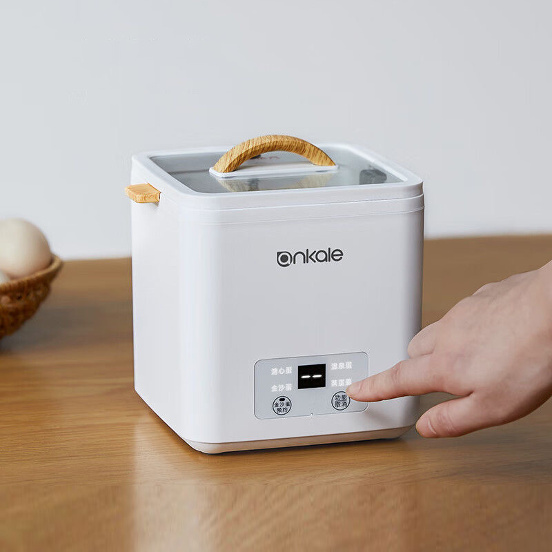 4 Eggs Boiler Steamer Multi Fu - đánh giá và giá Egg Cooker Rapid