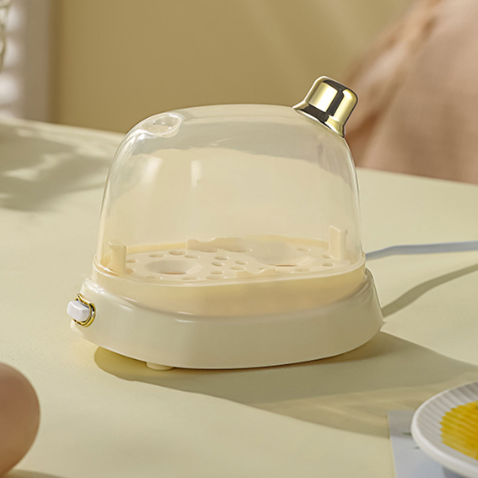 Rapid Egg Cooker 2 Egg Capacit - đánh giá và giá Egg Cooker Rapid