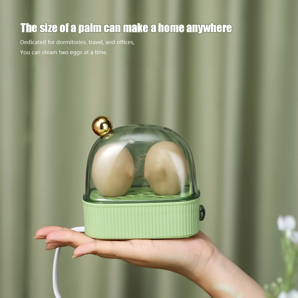 220V Double Layer Poacher Auto - đánh giá và giá Egg Cooker Rapid